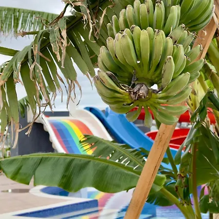 In Four Seasons 2 * Boghaz