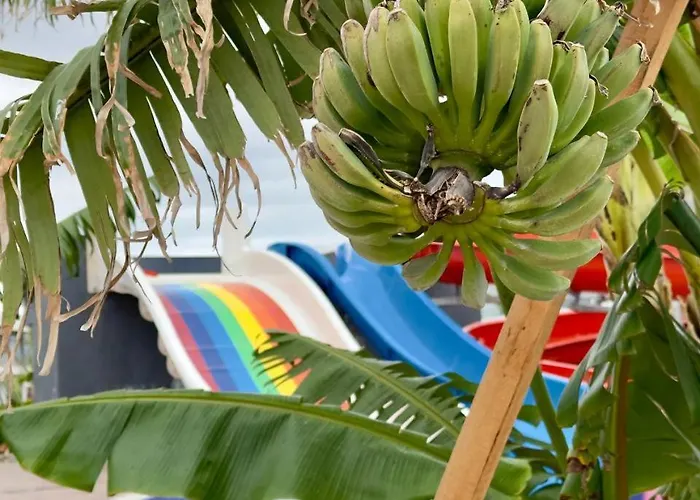 In Four Seasons 2 * Boghaz